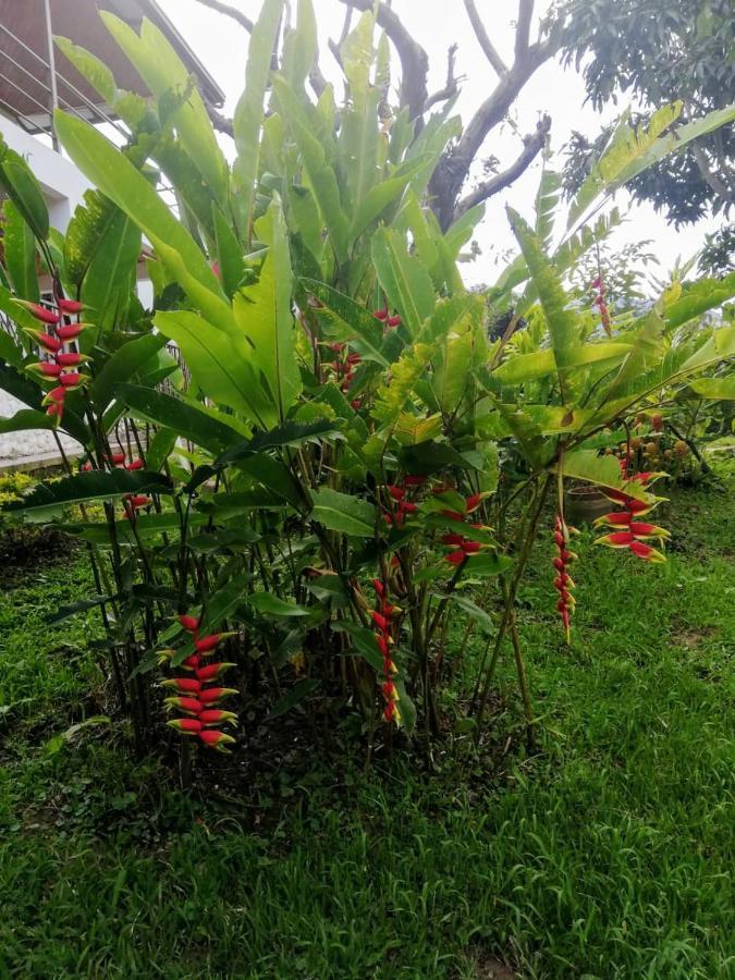 Campestre Santa Helena Chalet Choachi