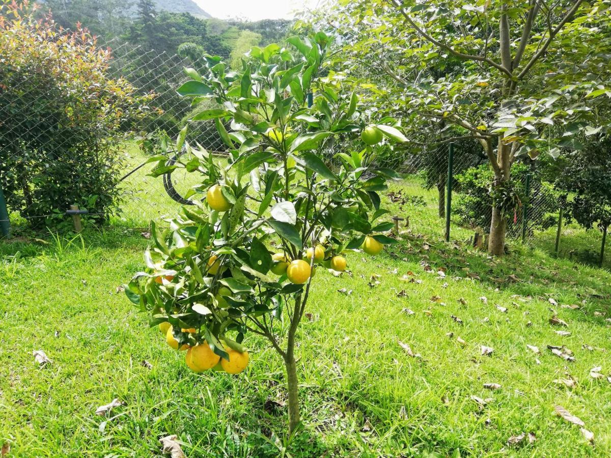 Campestre Santa Helena * Choachi