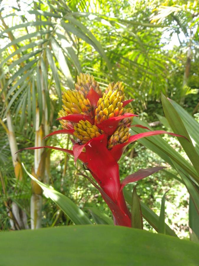 Campestre Santa Helena Choachi