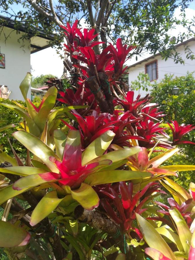 Campestre Santa Helena Chalet *