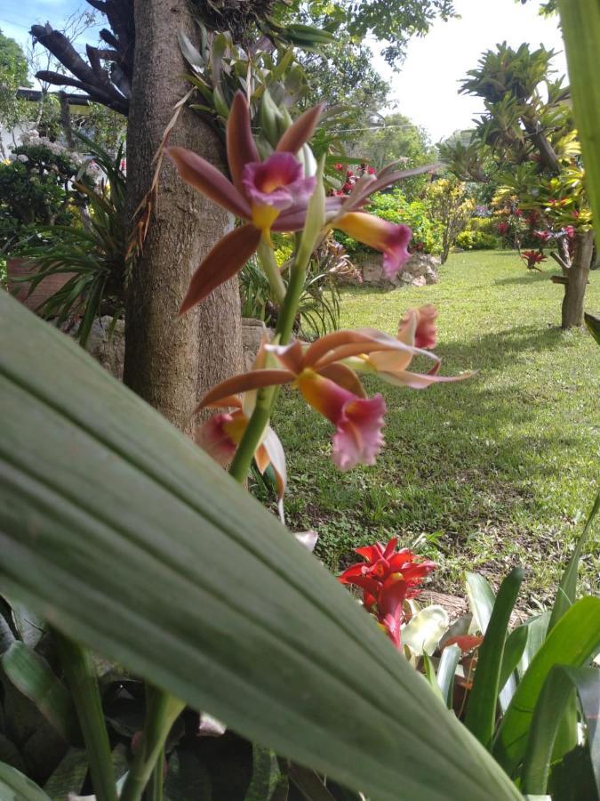 Chalet Campestre Santa Helena *